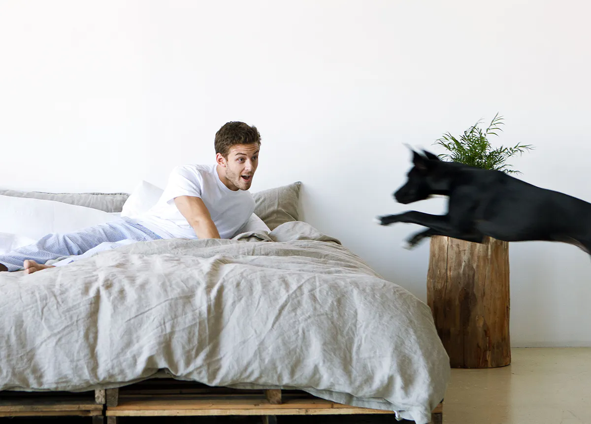 Smart Bedding 2.0 Image