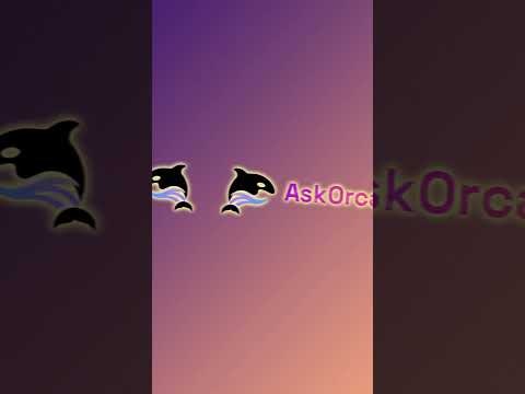 AskOrca gallery image