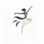 Dance Master Pro for dance schools