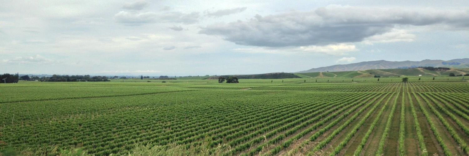 Michael Ducker cover