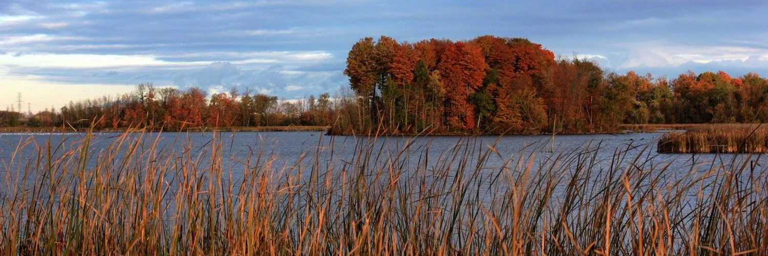 Stefan Adelmann cover