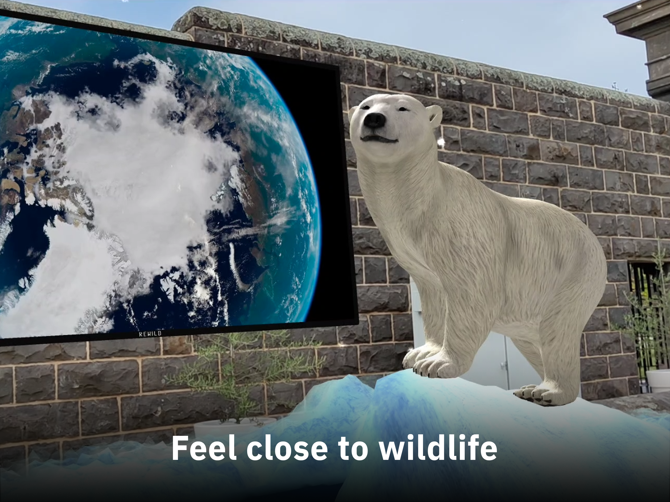 REWILD gallery image