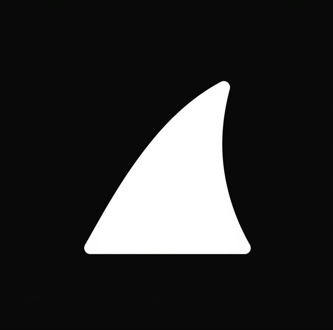 Orca AI