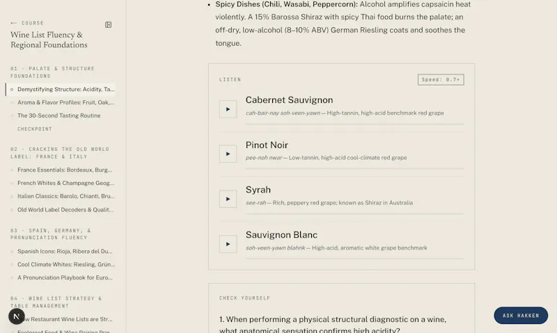 Hakken screenshot 6