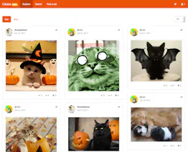 Cat As A Service (CATAAS) gallery image
