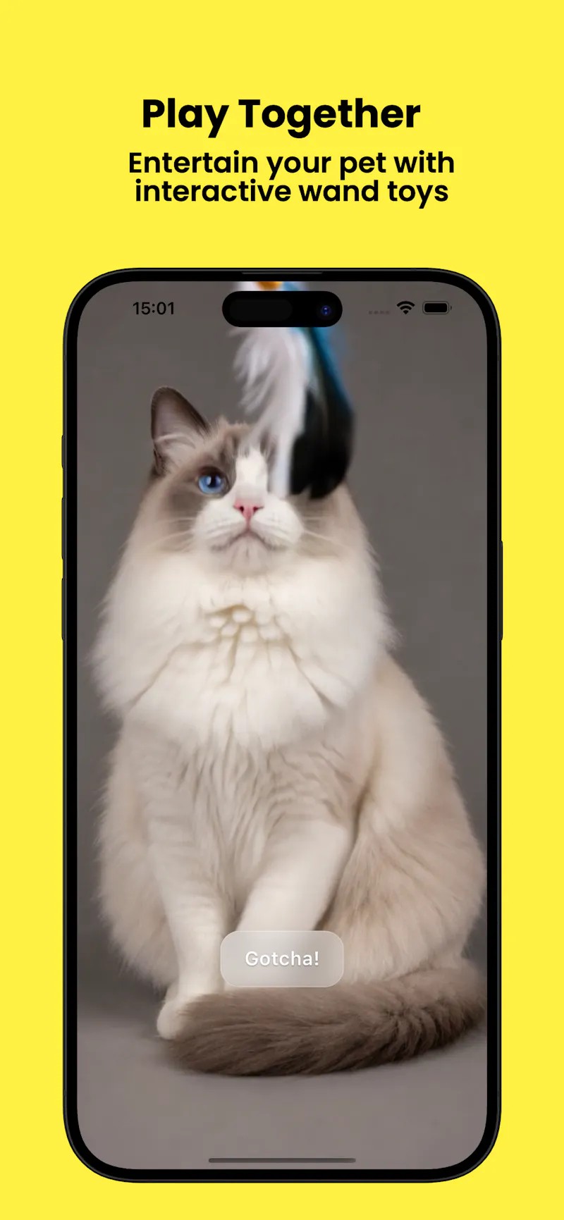 Petnori screenshot 9