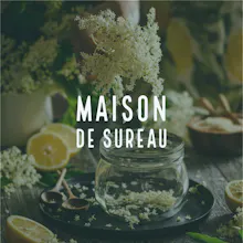 sonopsia gallery image