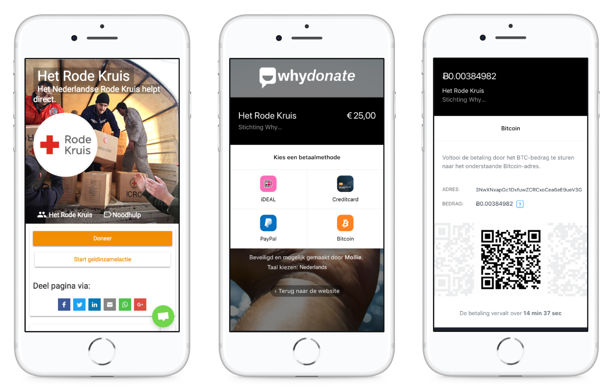 Whydonate gallery image