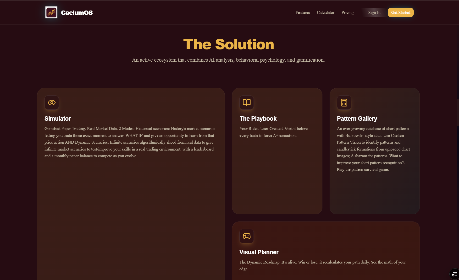 CaelumOS gallery image