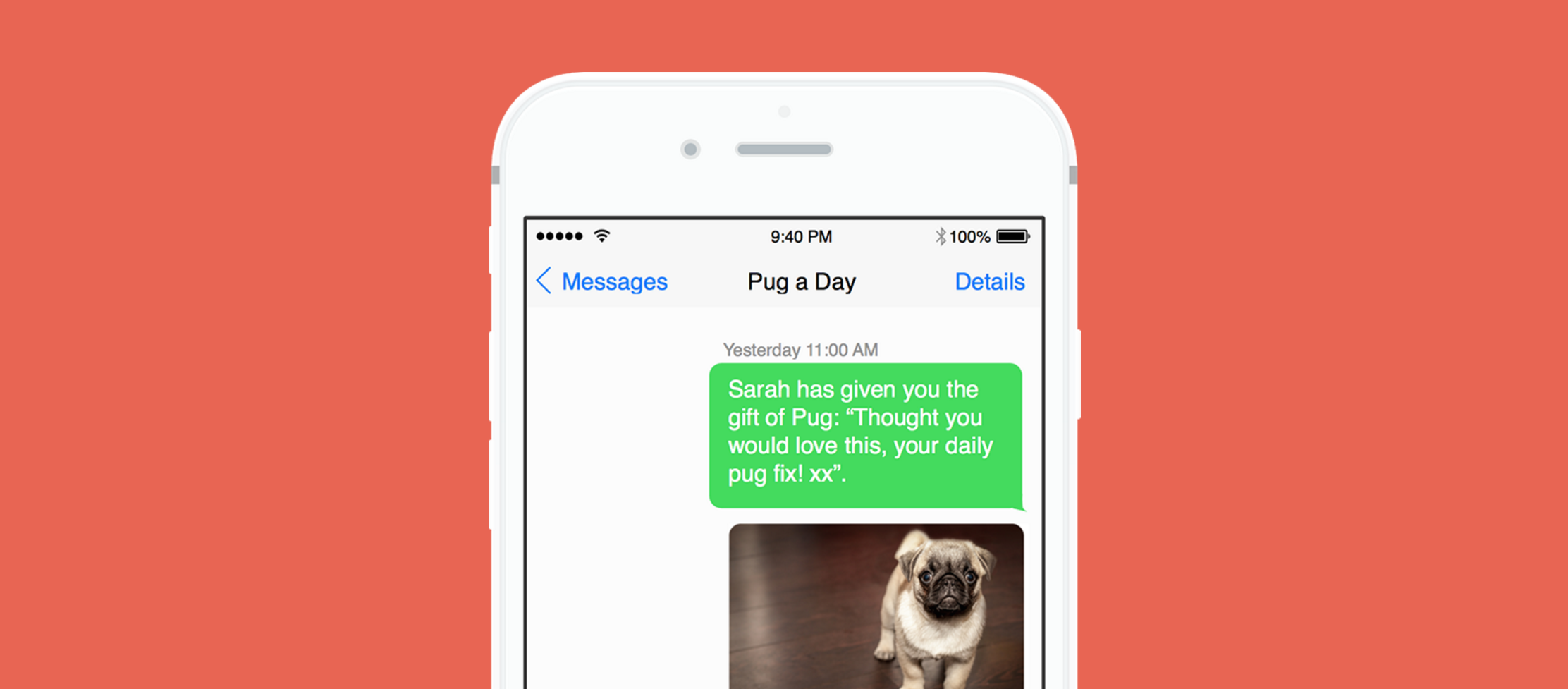 Pug A Day gallery image