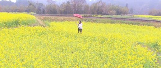 aroma CODE gallery image