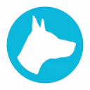 Only Dogs