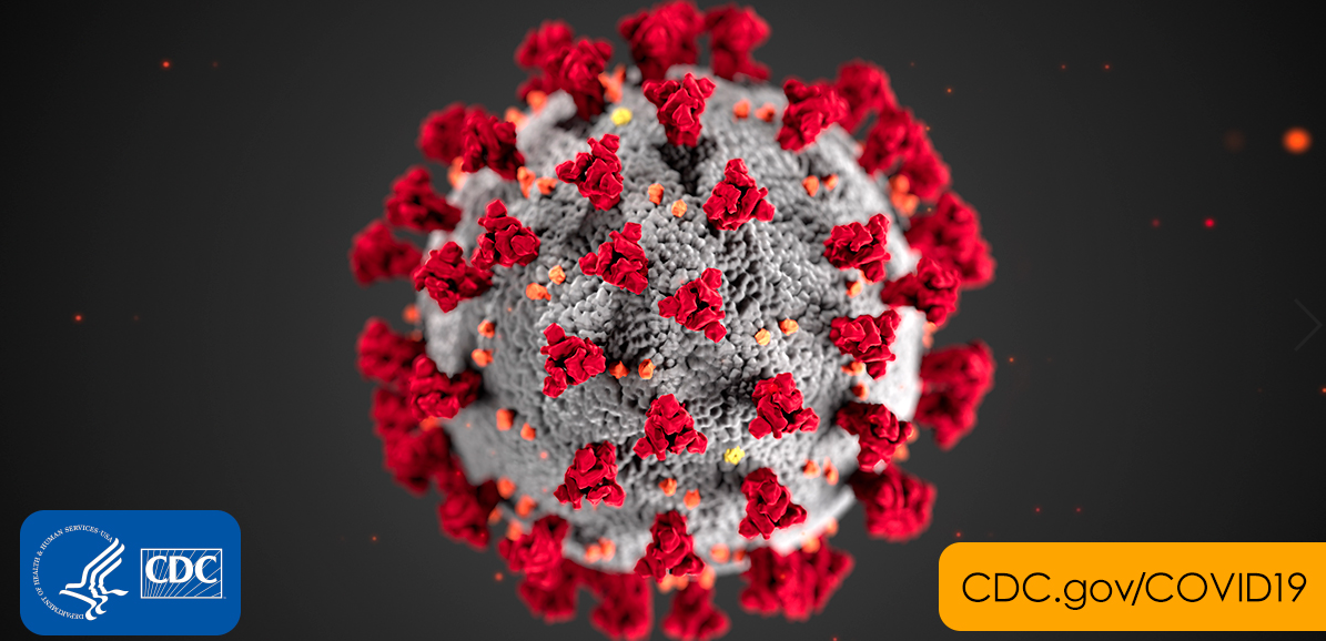 The Caregiver Guide to COVID-19 gallery image