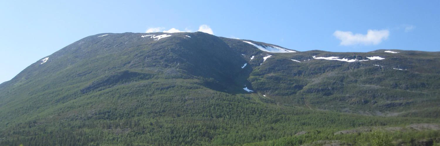 Lucjan Kierczak cover