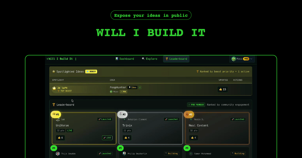 Will I Build It gallery image