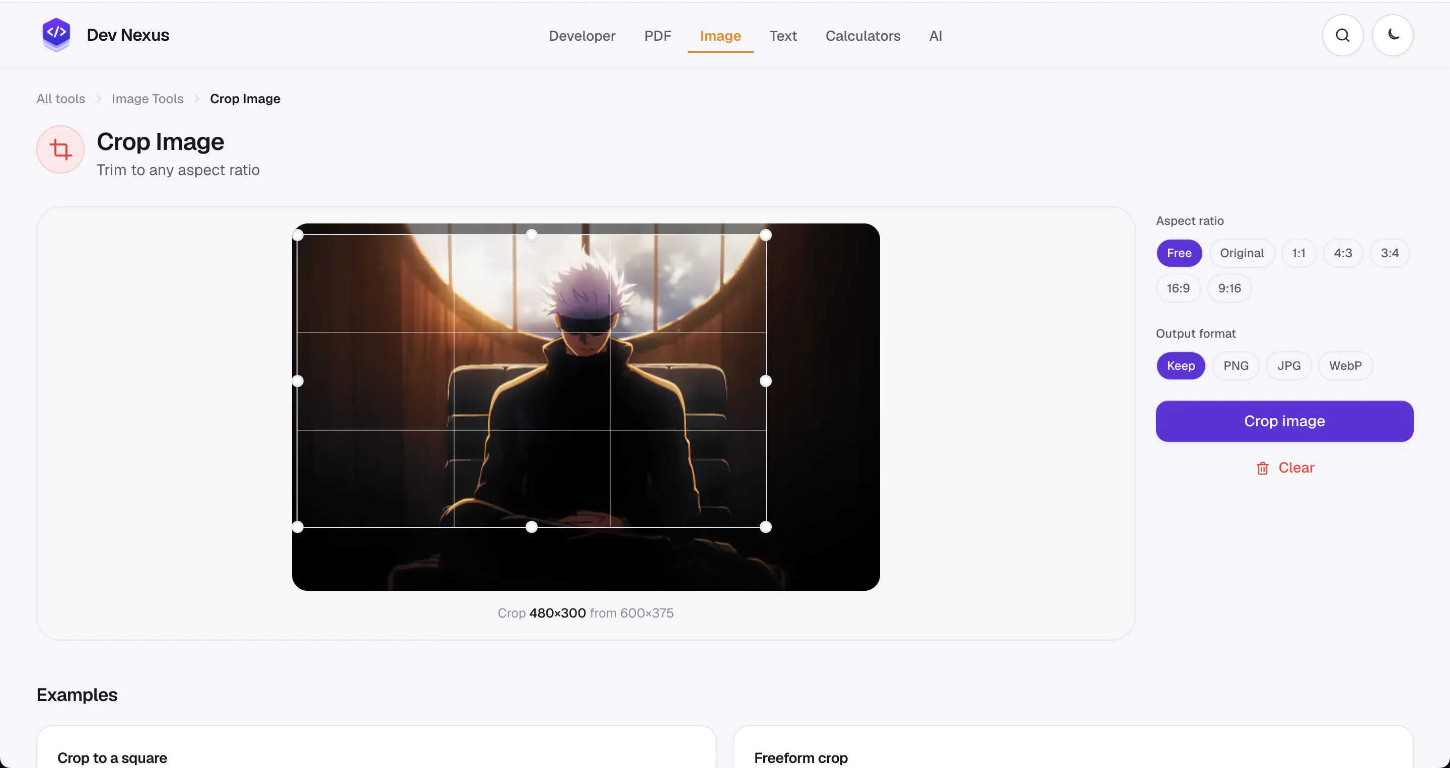 Dev Nexus gallery image