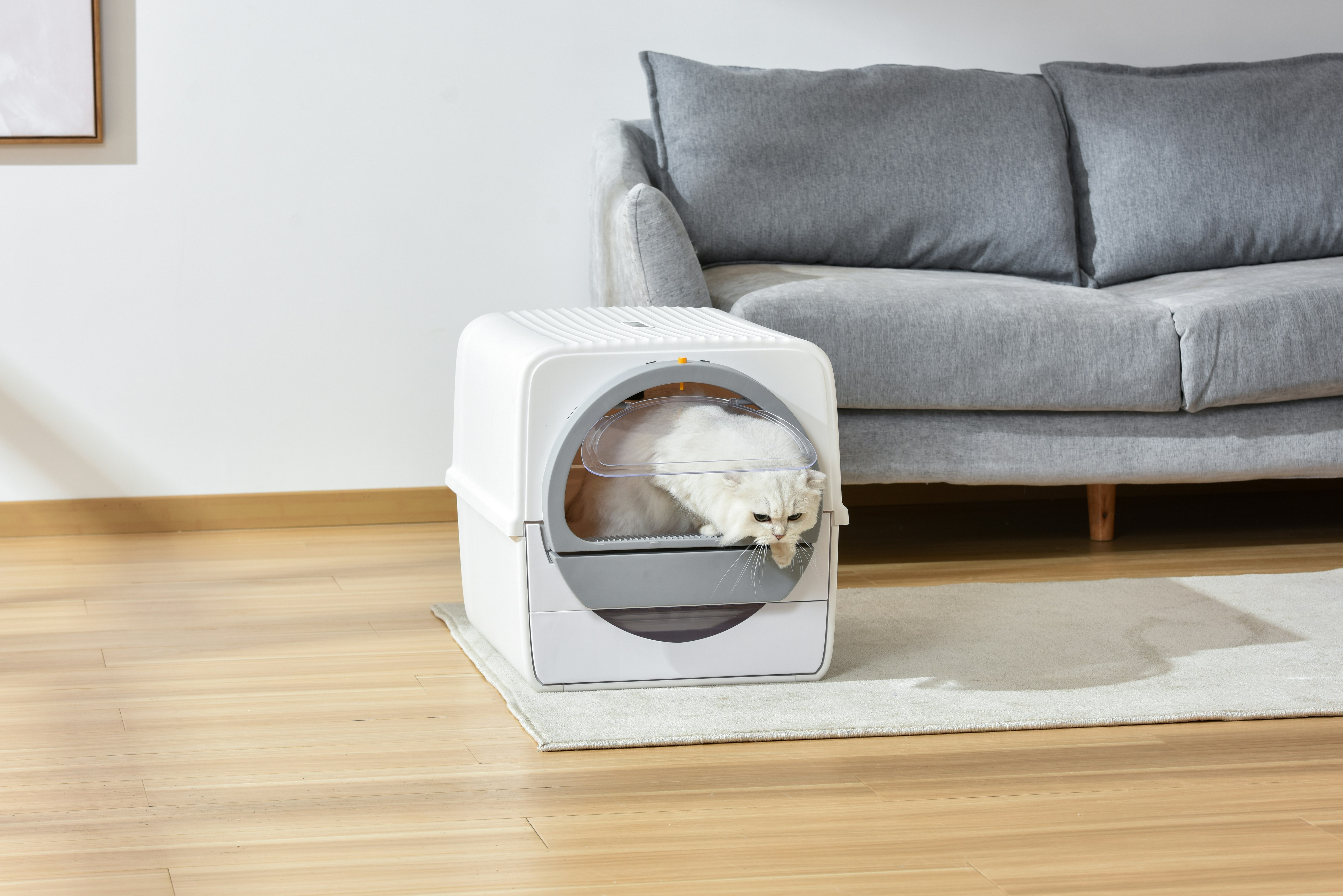 Peterest gallery image