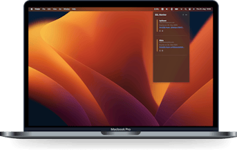 SSL Montior gallery image