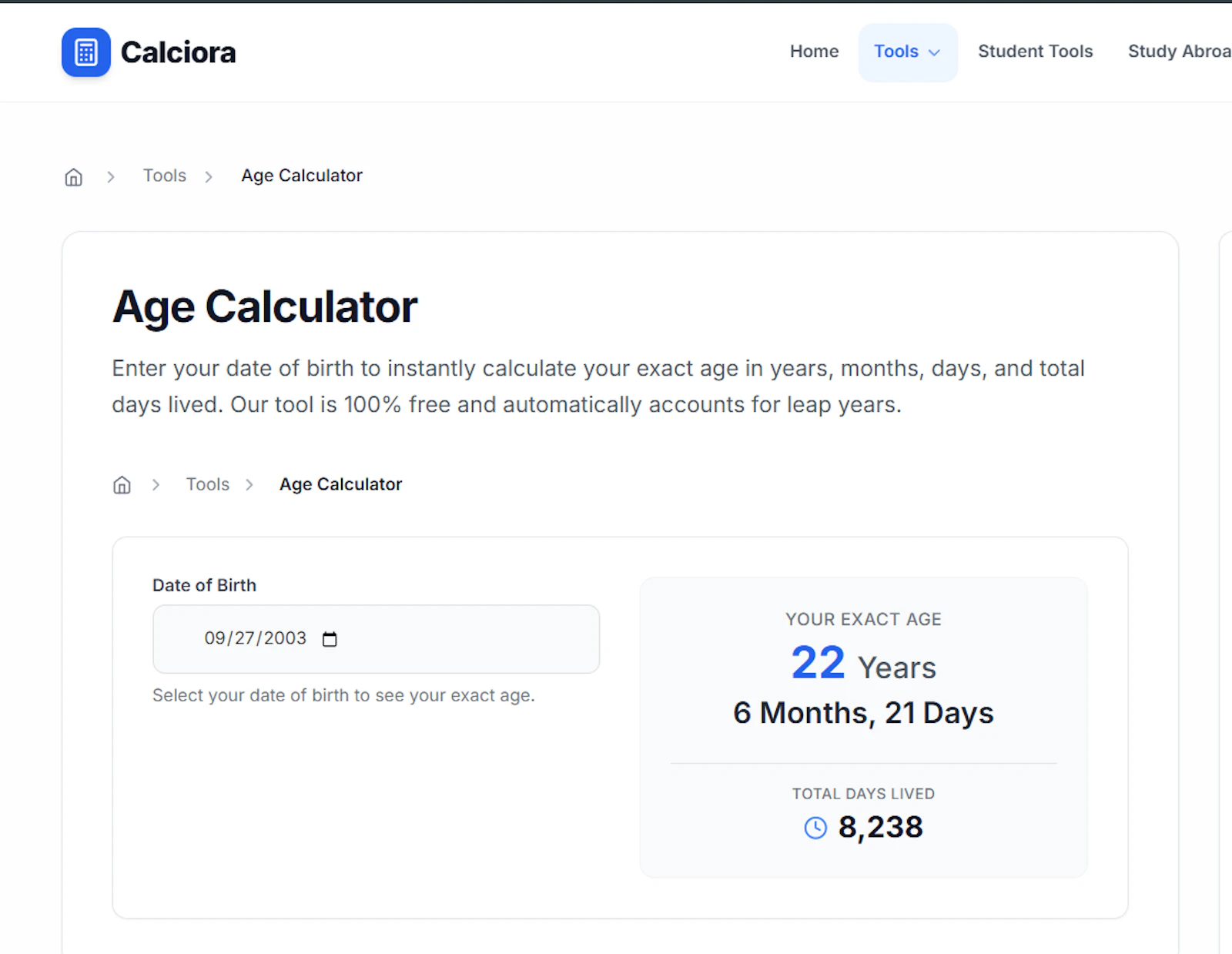 Age Calculator screenshot 1
