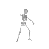 Skeleton Party
