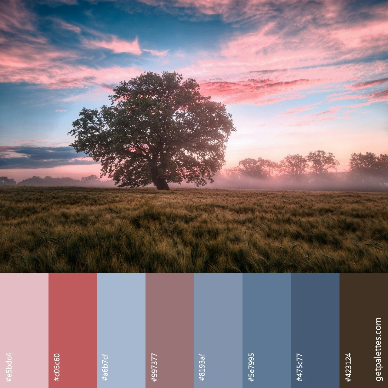 Color Palette Finder gallery image
