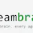 TeamBrain