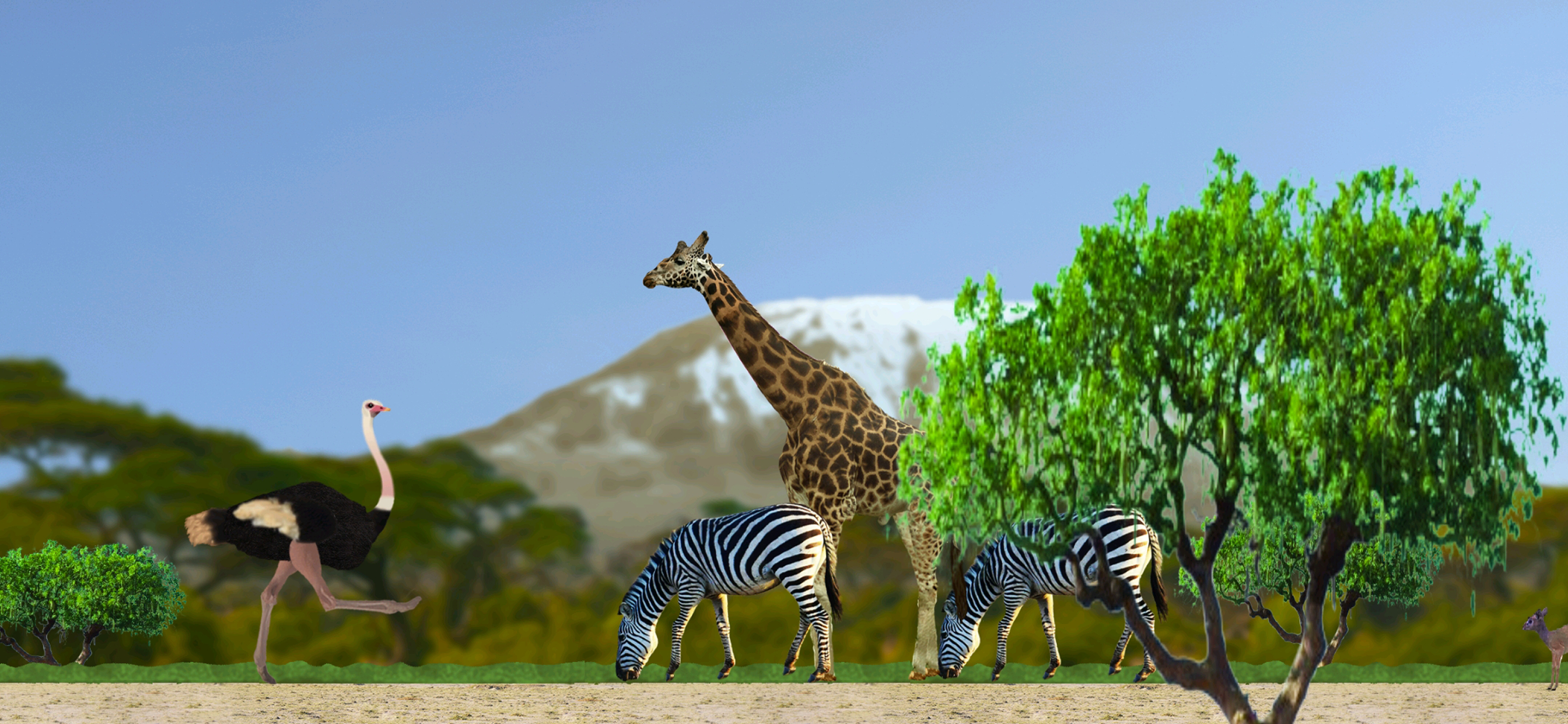 Ostrich - Screenshot 3 showing product features and functionality