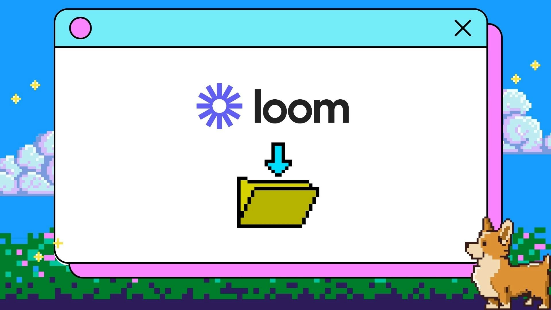 Loom Video Downloader
