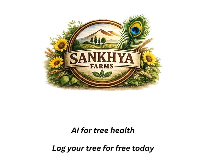 Sankhya Tree Intelligence gallery image
