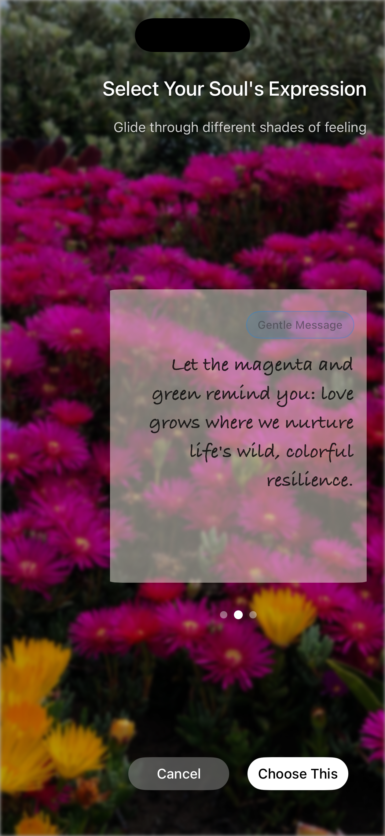 SoulSnap gallery image