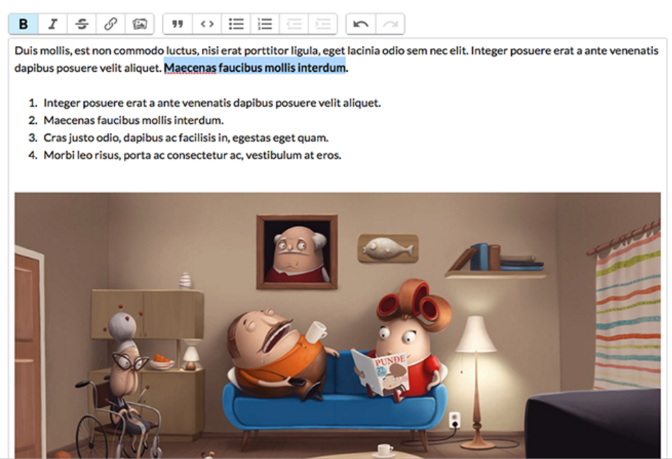 SlimFAQ gallery image