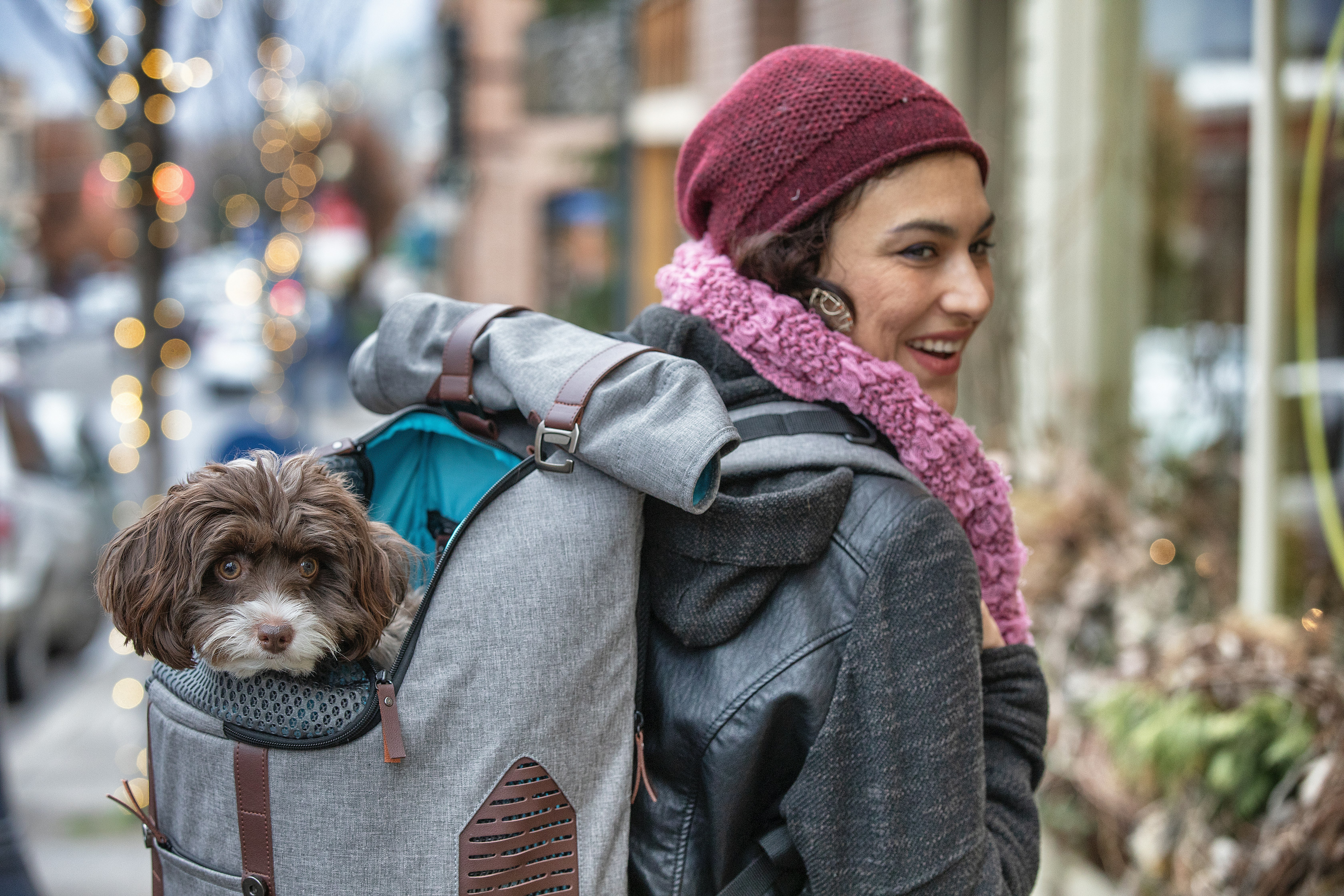 Kurgo K9 Rucksack gallery image