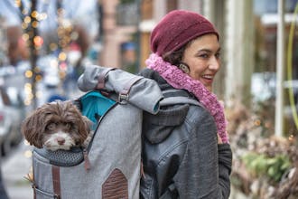 Kurgo K9 Rucksack gallery image