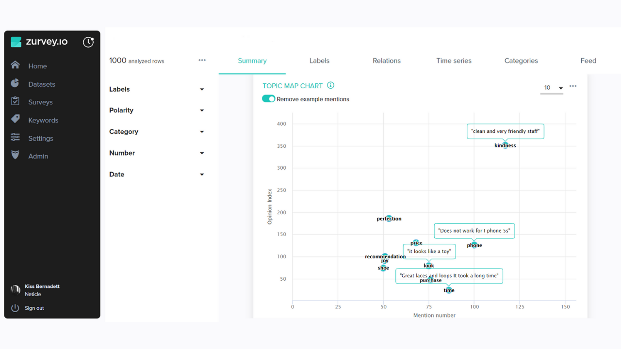 Zurvey.io gallery image