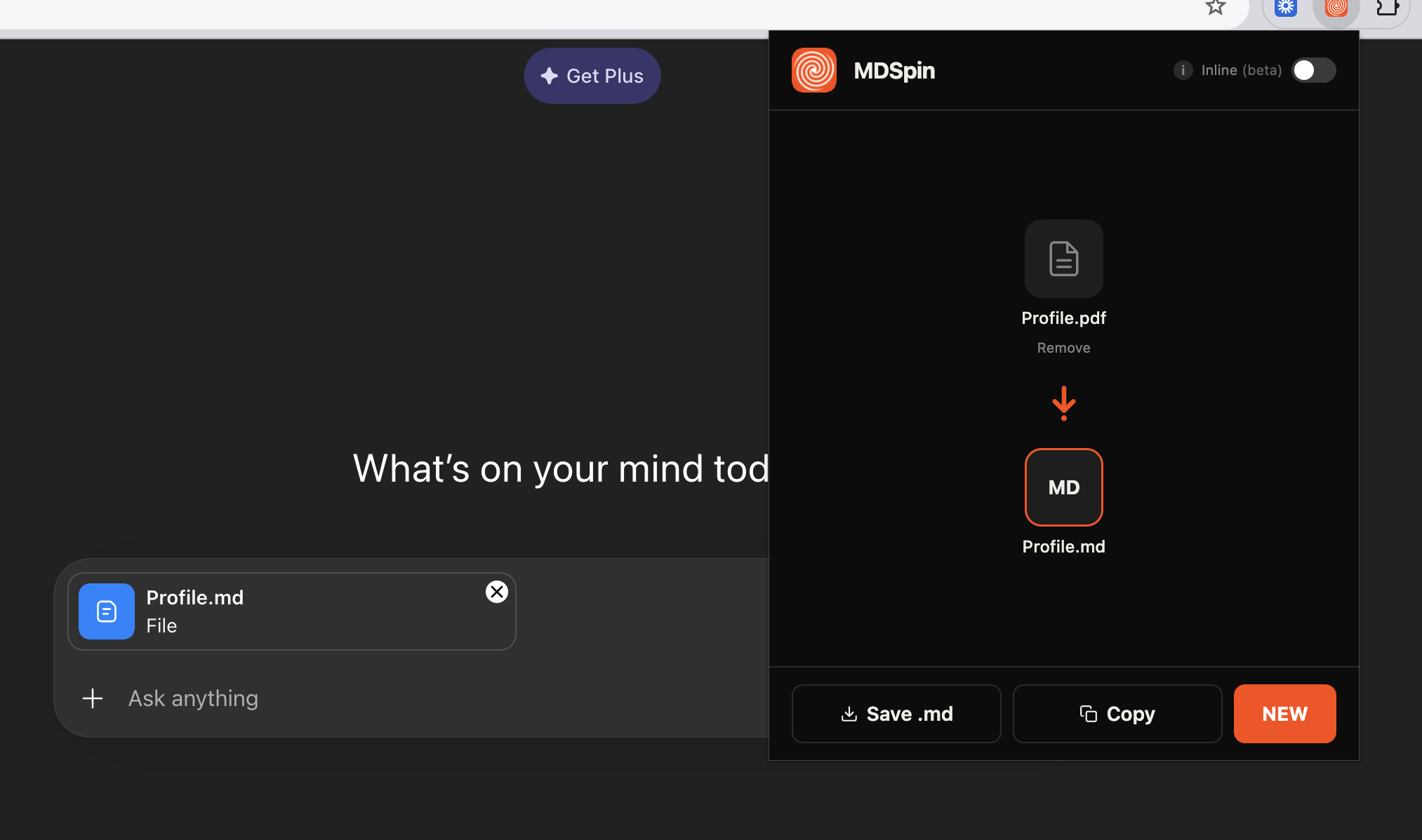 MDSpin gallery image