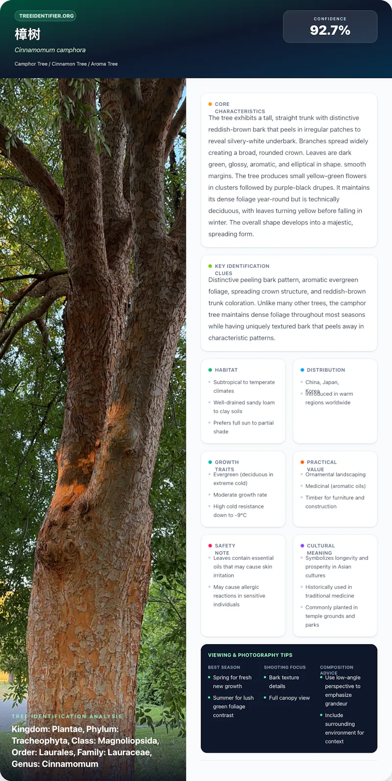 Tree Identifier Online screenshot 1