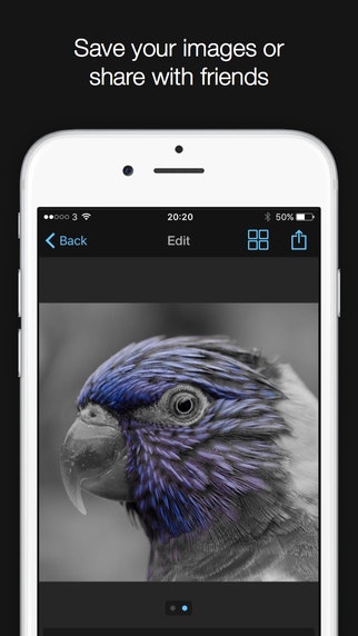 Show & Hide gallery image