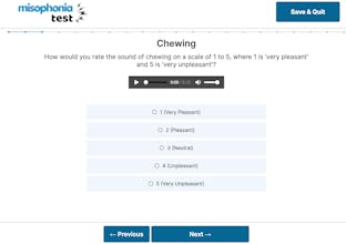 Sound Sensitivity Test using ChatGPT gallery image