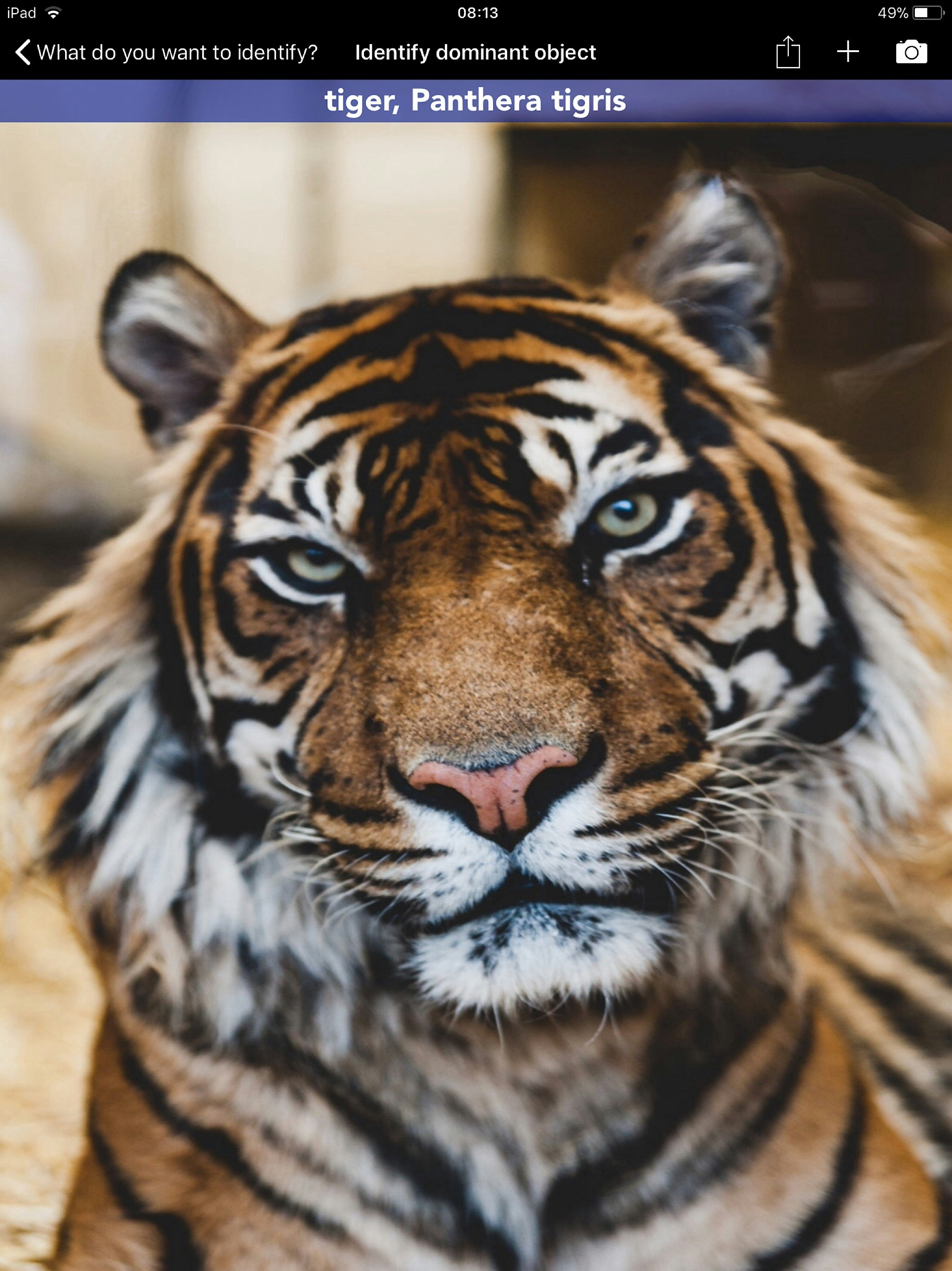 Aspectu gallery image