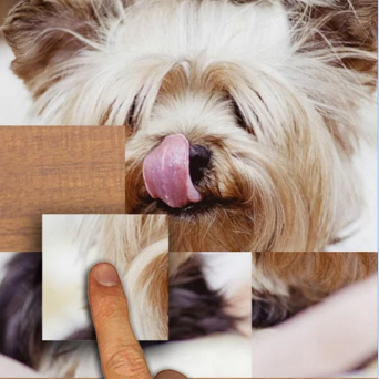 Puppy Puzzle gallery image