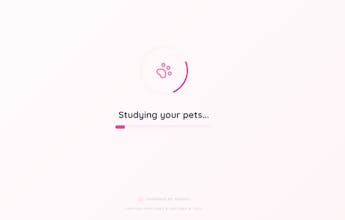 Paws & Patches gallery image