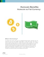 Huincoin gallery image