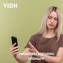 Vidn gallery image