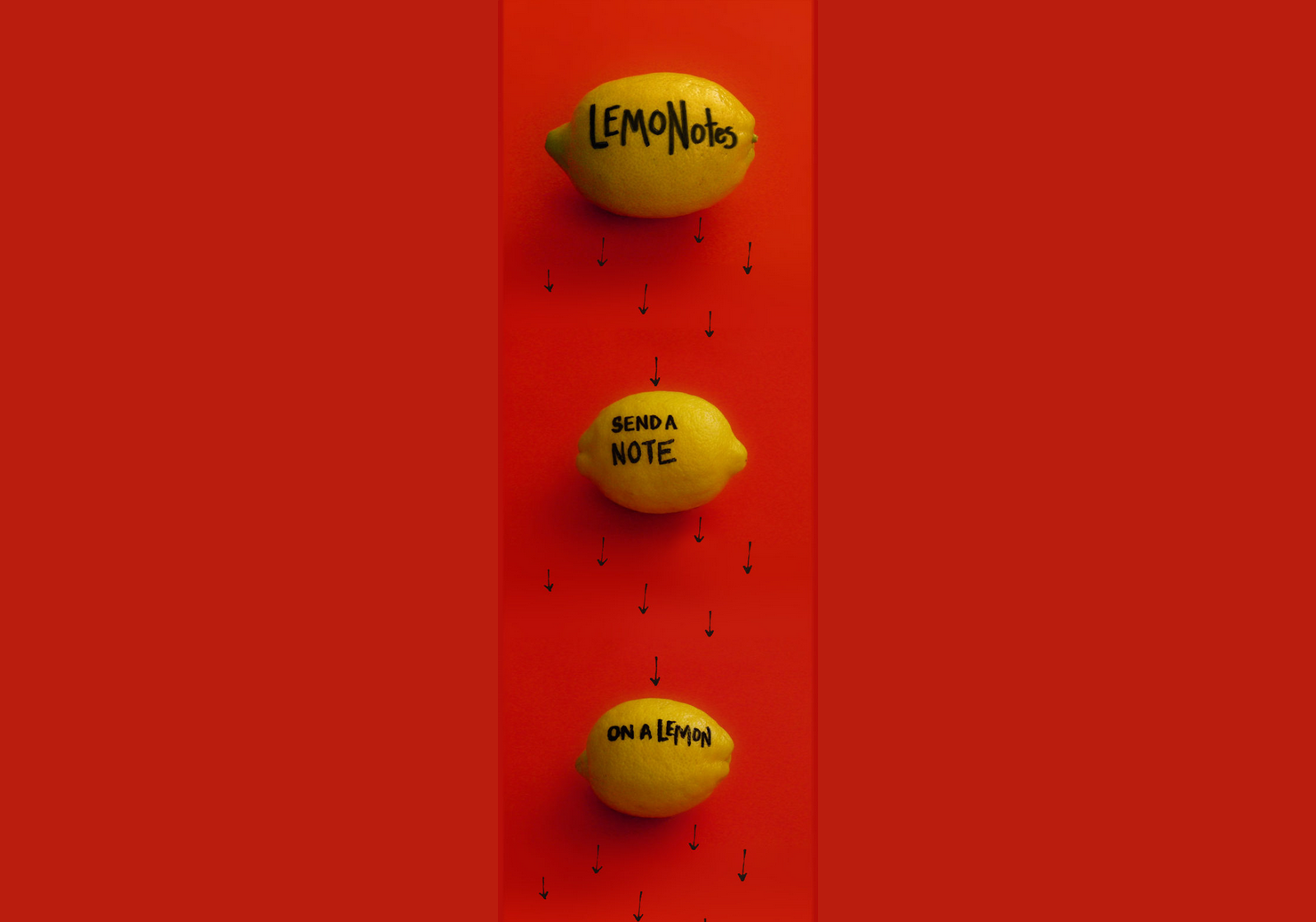 LemoNotes gallery image