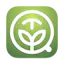 Machato