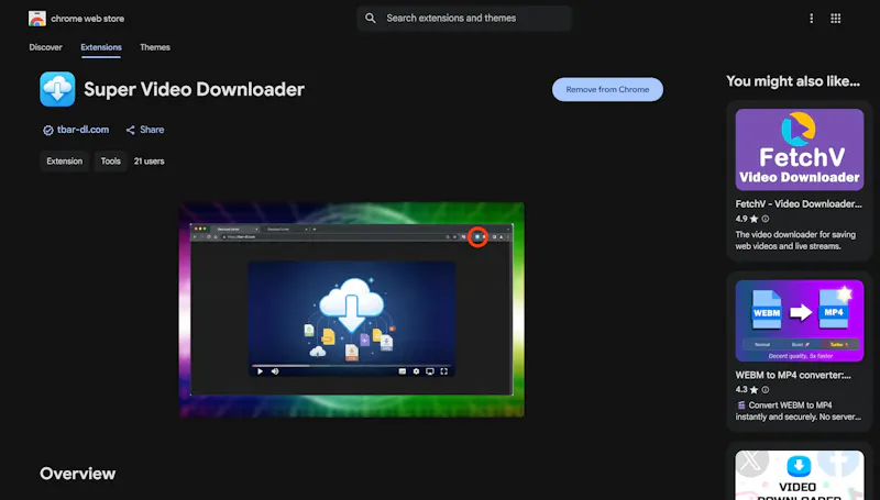 Super Video Downloader screenshot 2