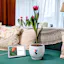 Google Tulip