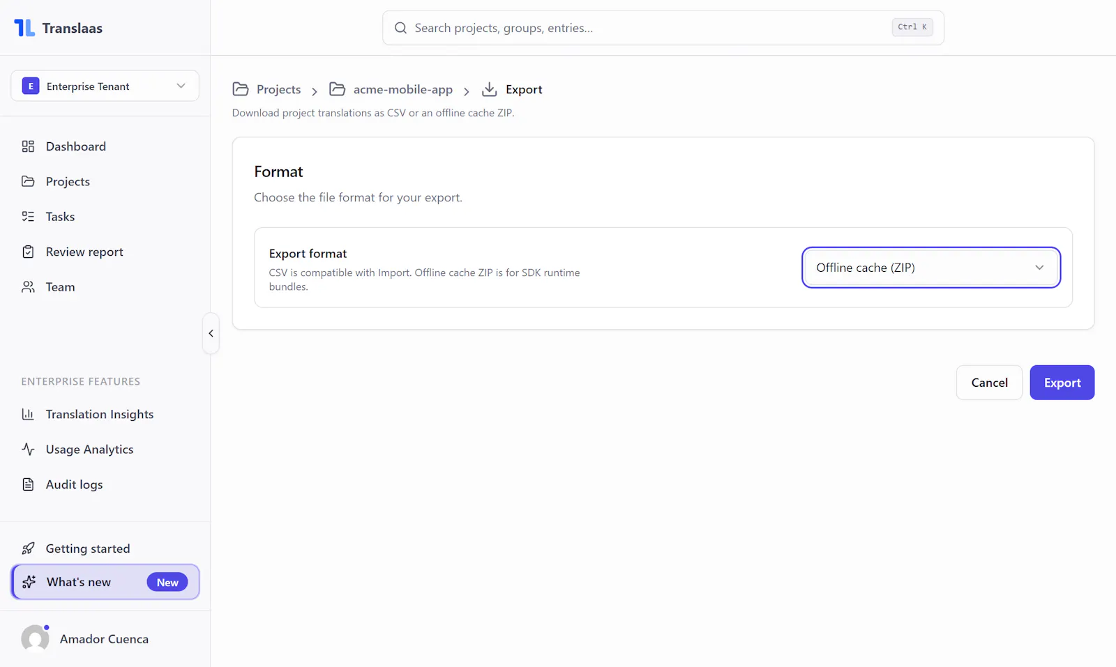 Translaas screenshot 7