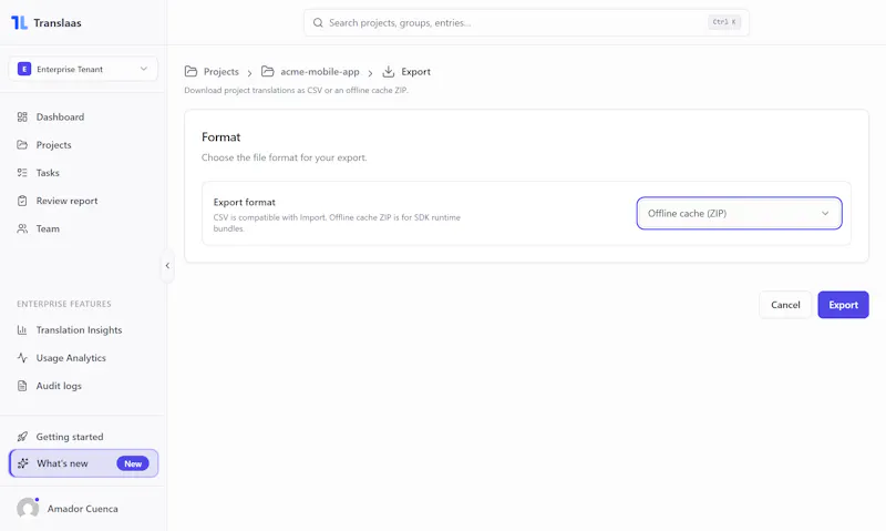 Translaas screenshot 7