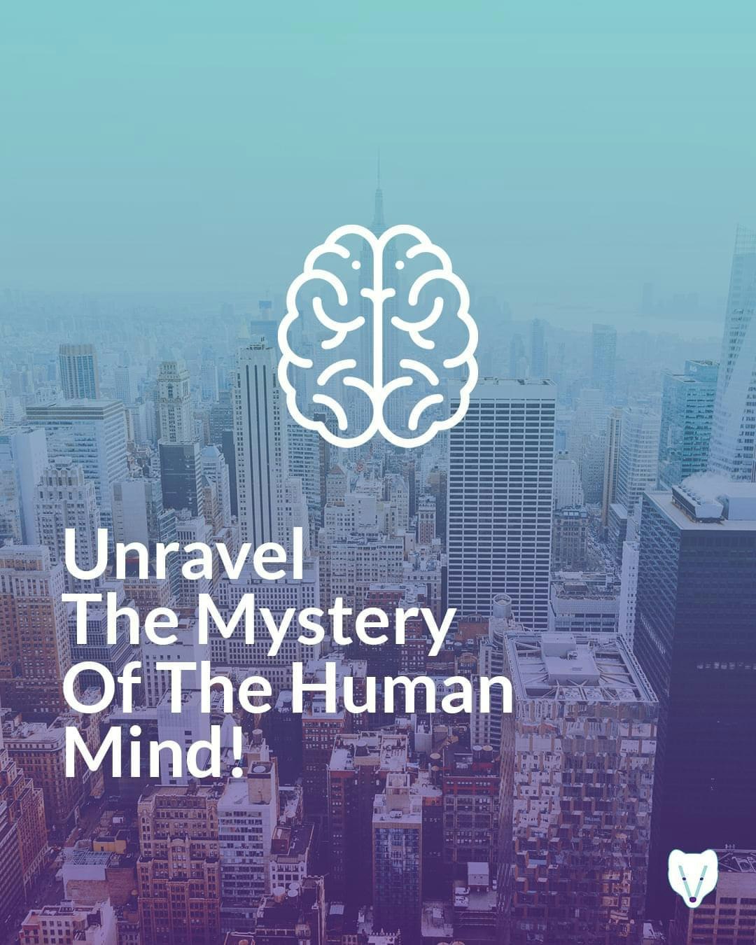 Voolpo gallery image